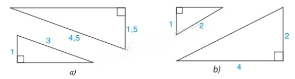 13 Bài tập Các trường hợp đồng dạng của hai tam giác vuông (có đáp án) | Kết nối tri thức Trắc nghiệm Toán 8