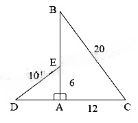 13 Bài tập Các trường hợp đồng dạng của hai tam giác vuông (có đáp án) | Kết nối tri thức Trắc nghiệm Toán 8