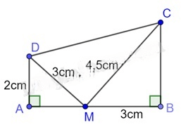 13 Bài tập Các trường hợp đồng dạng của hai tam giác vuông (có đáp án) | Kết nối tri thức Trắc nghiệm Toán 8