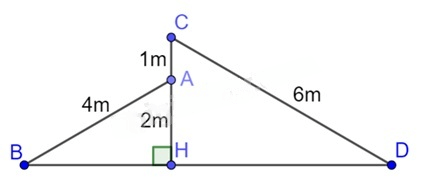 13 Bài tập Các trường hợp đồng dạng của hai tam giác vuông (có đáp án) | Kết nối tri thức Trắc nghiệm Toán 8