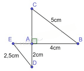 13 Bài tập Các trường hợp đồng dạng của hai tam giác vuông (có đáp án) | Kết nối tri thức Trắc nghiệm Toán 8