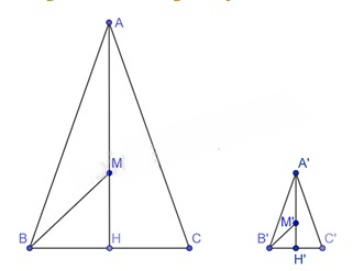 13 Bài tập Các trường hợp đồng dạng của hai tam giác vuông (có đáp án) | Kết nối tri thức Trắc nghiệm Toán 8