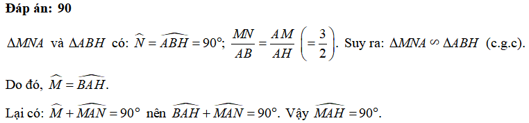 13 Bài tập Các trường hợp đồng dạng của hai tam giác vuông (có đáp án) | Kết nối tri thức Trắc nghiệm Toán 8