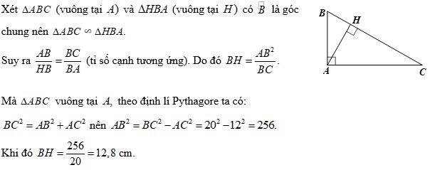 13 Bài tập tổng hợp Toán 8 Kết nối tri thức Chương 9 (có đáp án)