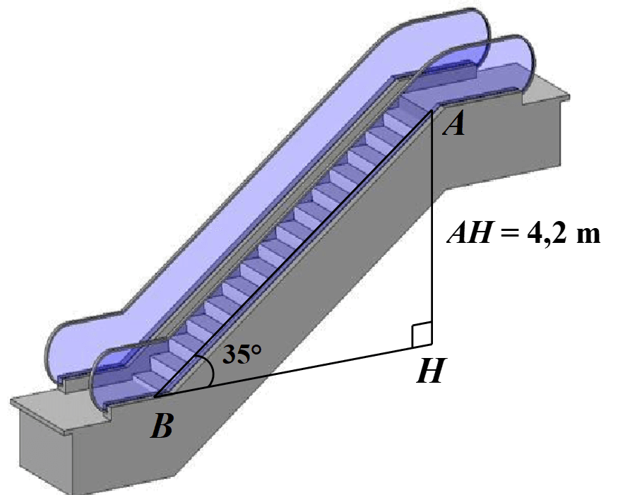 Đề kiểm tra Toán 9 Cánh diều Chương 4 (có lời giải)