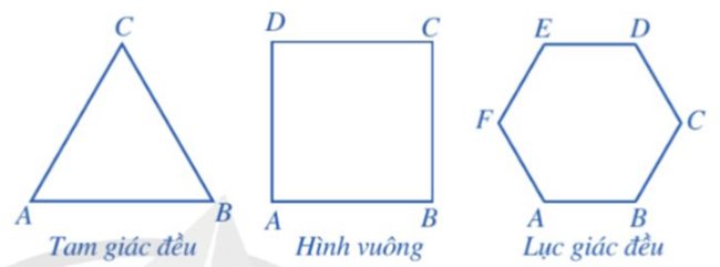 Đa giác đều. Hình đa giác đều trong thực tiễn (Lý thuyết Toán lớp 9) | Cánh diều