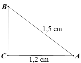 10 Bài tập Tỉ số lượng giác của góc nhọn (có đáp án) | Cánh diều Trắc nghiệm Toán 9 