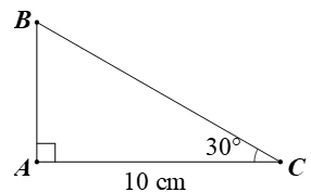 10 Bài tập Một số hệ thức về cạnh và góc trong tam giác vuông (có đáp án) | Cánh diều Trắc nghiệm Toán 9 