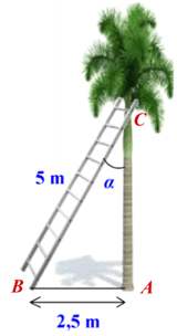 10 Bài tập Ứng dụng của tỉ số lượng giác của góc nhọn (có đáp án) | Cánh diều Trắc nghiệm Toán 9 