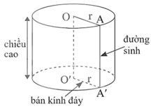 Hình trụ (Lý thuyết Toán lớp 9) | Chân trời sáng tạo