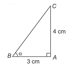 10 Bài tập Tỉ số lượng giác của góc nhọn (có đáp án) | Kết nối tri thức Trắc nghiệm Toán 9