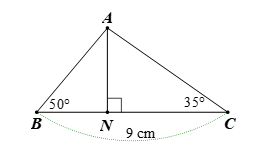10 Bài tập Một số hệ thức giữa cạnh, góc trong tam giác vuông và ứng dụng (có đáp án) | Kết nối tri thức Trắc nghiệm Toán 9