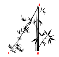 10 Bài tập trắc nghiệm Toán 9 Kết nối tri thức Chương 4 (có đáp án)