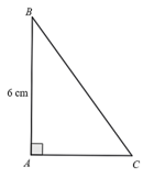 10 Bài tập trắc nghiệm Toán 9 Kết nối tri thức Chương 4 (có đáp án)
