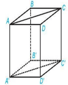 Hình hộp đứng là gì lớp 11 (chi tiết nhất) (ảnh 2)