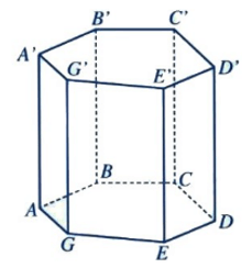 Hình lăng trụ là gì lớp 11 (chi tiết nhất) (ảnh 5)