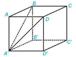 Hình lập phương là gì lớp 11 (chi tiết nhất) (ảnh 2)