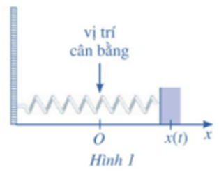 Nguyên hàm, Tích phân lớp 12 (Chuyên đề dạy thêm Toán 12)