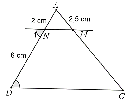 Định lý Thalès trong tam giác là gì lớp 8 (chi tiết nhất)