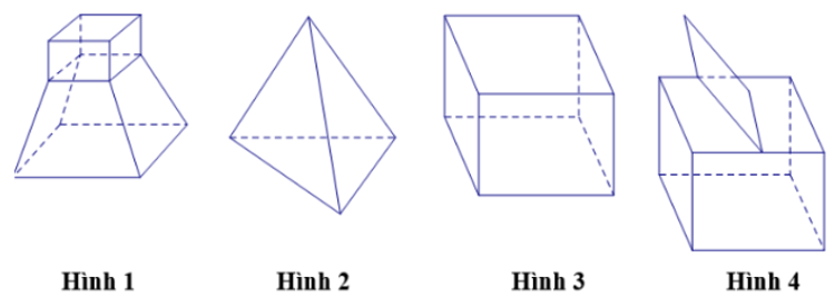 Khối đa diện là gì lớp 12 (chi tiết nhất)