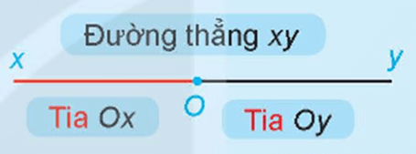 Hai tia đối nhau là gì lớp 6 (chi tiết nhất)