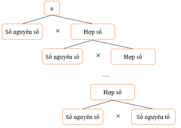 Phân tích thừa số nguyên tố theo sơ đồ cây lớp 6 (chi tiết nhất)