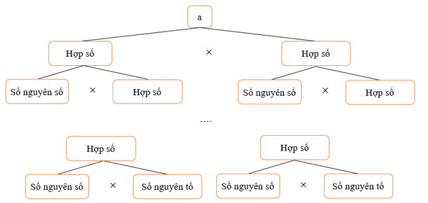 Phân tích thừa số nguyên tố theo sơ đồ cây lớp 6 (chi tiết nhất)