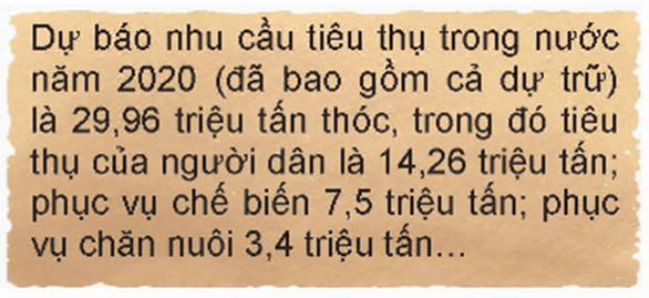 Số thập phân dương là gì lớp 6 (chi tiết nhất)