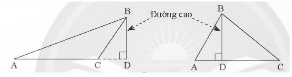 Đường cao trong tam giác là gì lớp 7 (chi tiết nhất) 