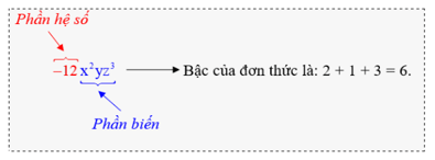 Hệ số trong đơn thức là gì lớp 7 (chi tiết nhất) 