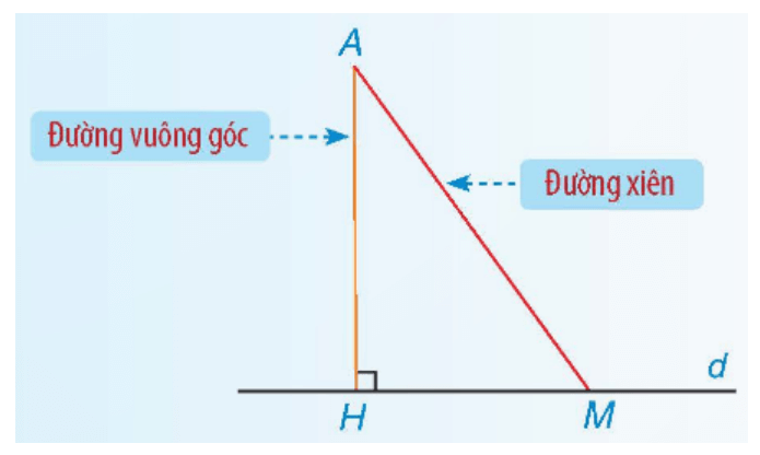 Hình chiếu của đường xiên là gì lớp 7 (chi tiết nhất)