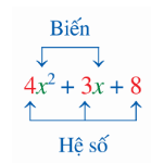 Sắp xếp đa thức theo lũy thừa giảm dần của biến lớp 7 (chi tiết nhất) 