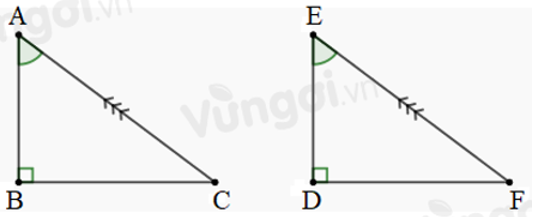 Trắc nghiệm Các trường hợp bằng nhau của tam giác vuông