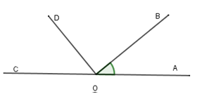 Trắc nghiệm: Hai đường thẳng vuông góc - Bài tập Toán lớp 7 chọn lọc có đáp án, lời giải chi tiết