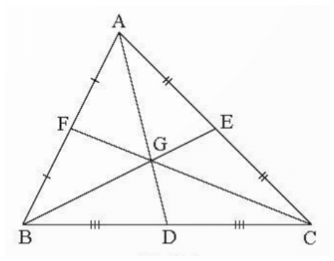 Trọng tâm là gì lớp 7 (chi tiết nhất)