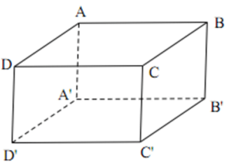 Xác định tấm bìa có thể gấp được thành hình hộp chữ nhật, hình lập phương (cách giải + bài tập)