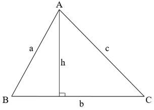 Bài tập Diện tích tam giác | Lý thuyết và Bài tập Toán 8 có đáp án