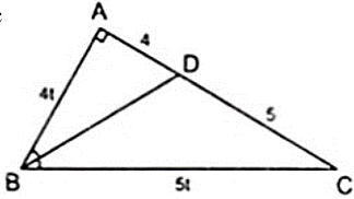 Bài tập: Tính chất đường phân giác của tam giác | Lý thuyết và Bài tập Toán 8 có đáp án