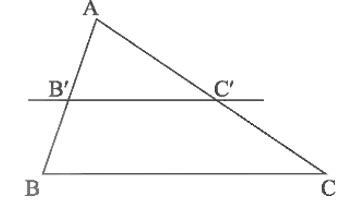 Hệ quả định lý Thalès lớp 8 (chi tiết nhất)
