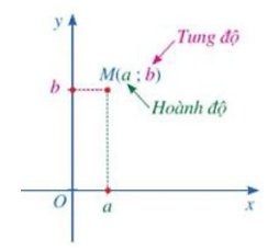 Tọa độ của một điểm trong mặt phẳng tọa độ lớp 8 (chi tiết nhất)