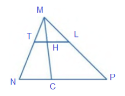 Định lí Thalès đảo lớp 8 (chi tiết nhất)