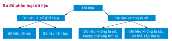 Phân loại dữ liệu là gì lớp 8 (chi tiết nhất)