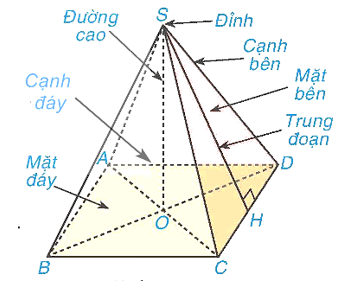 Tính chất hình chóp tứ giác đều là gì lớp 8 (chi tiết nhất)