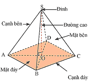 Tính chất hình chóp tứ giác đều là gì lớp 8 (chi tiết nhất)
