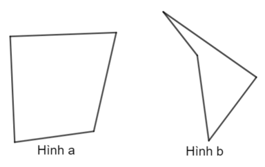 Tứ giác lồi là gì lớp 8 (chi tiết nhất)