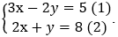 Cách giải hệ phương trình bậc nhất hai ẩn cực hay, có lời giải - Toán lớp 9