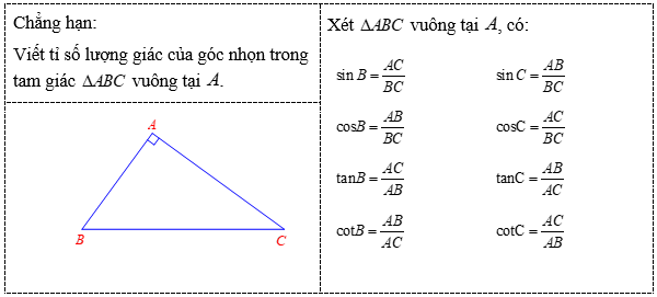 Hệ thức lượng trong tam giác vuông lớp 9 (Chuyên đề Bài tập dạy thêm Toán 9)