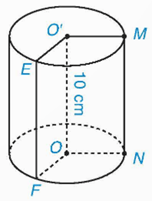 Đường sinh là gì lớp 9 (chi tiết nhất)