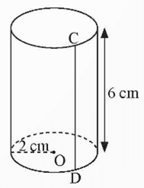 Đường sinh là gì lớp 9 (chi tiết nhất)