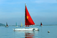 Bài toán thực tế lớp 9 Hàm số bậc hai và giải bài toán bằng cách lập phương trình